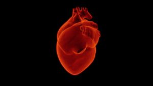 Felére csökkent a szívinfarktus miatti halálozások száma Magyarországon
