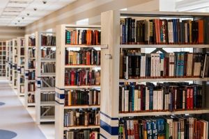 Emberi Könyvtár, élő regények